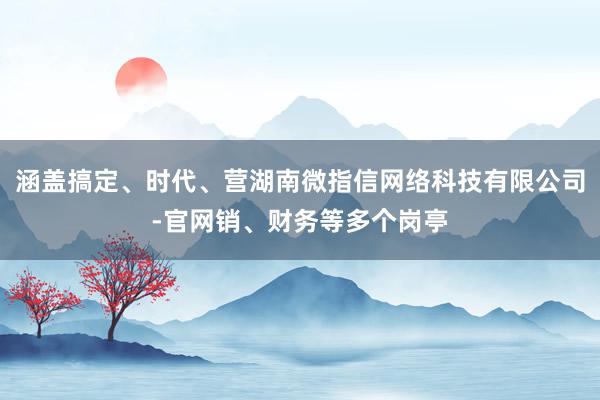 涵盖搞定、时代、营湖南微指信网络科技有限公司-官网销、财务等多个岗亭