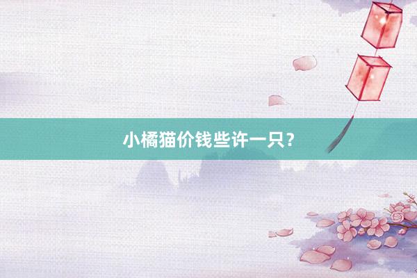 小橘猫价钱些许一只?
